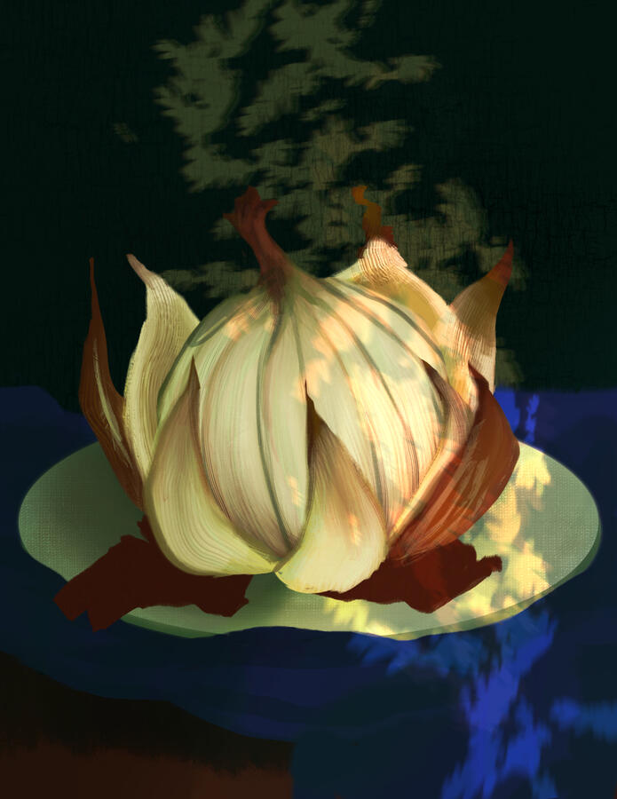 Onion, Procreate, 2025